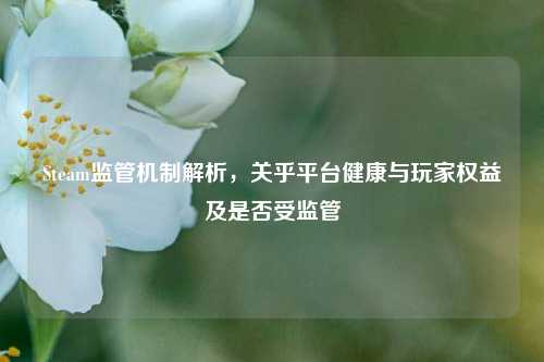 Steam监管机制解析，关乎平台健康与玩家权益及是否受监管